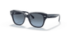 [Blue/Grey Lenses, Polished Blue On Transparent Grey Frame]