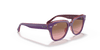 [Pink Gradient Brown Lenses, Polished Violet On Transparent Pink Frame]