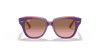 [Pink Gradient Brown Lenses, Polished Violet On Transparent Pink Frame]