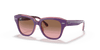 [Pink Gradient Brown Lenses, Polished Violet On Transparent Pink Frame]