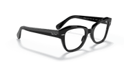 Clear Lenses, Polished Black Frame