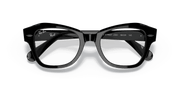 Clear Lenses, Polished Black Frame