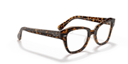 Clear Lenses, Polished Havana On Transparent Brown Frame