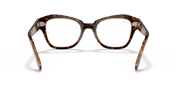 Clear Lenses, Polished Havana On Transparent Brown Frame