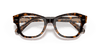 [Clear Lenses, Polished Havana On Transparent Brown Frame]