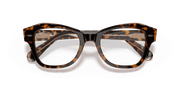 Clear Lenses, Polished Havana On Transparent Brown Frame