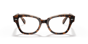 Clear Lenses, Polished Havana On Transparent Brown Frame