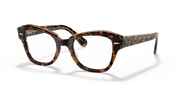 Clear Lenses, Polished Havana On Transparent Brown Frame