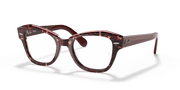 Clear Lenses, Polished Havana On Transparent Purple Frame