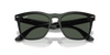 [Dark Green Lenses, Polished Black Frame]