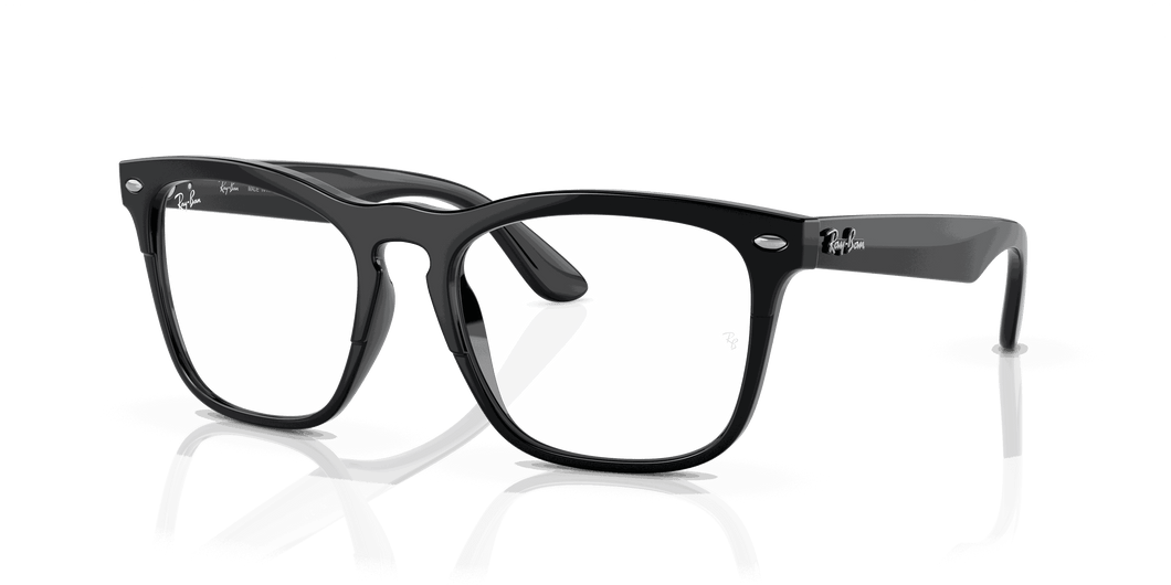 [Clear Lenses, Polished Black Frame]