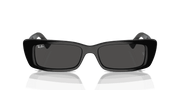 Dark Grey Lenses, Polished Black Frame