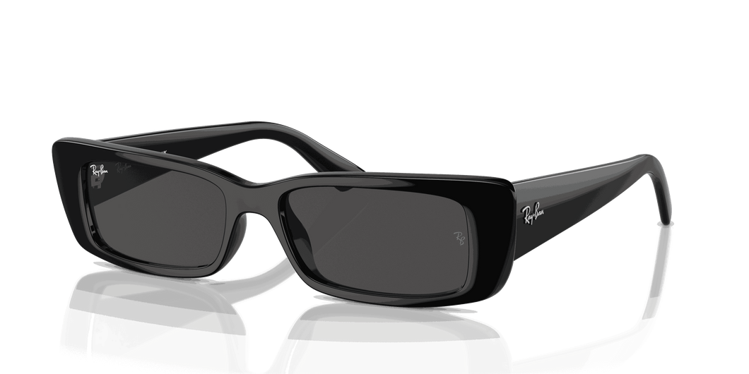 [Dark Grey Lenses, Polished Black Frame]