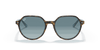 [Blue Gradient Grey Lenses, Polished Havana On Light Blue Frame]