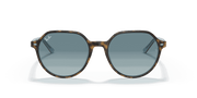 Blue Gradient Grey Lenses, Polished Havana On Light Blue Frame