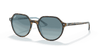 [Blue Gradient Grey Lenses, Polished Havana On Light Blue Frame]