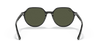 [Green Lenses, Polished Black Frame]