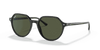 [Green Lenses, Polished Black Frame]