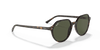 [Green Lenses, Polished Havana Frame]