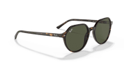 Green Lenses, Polished Havana Frame