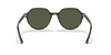 [Green Lenses, Polished Havana Frame]