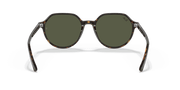 Green Lenses, Polished Havana Frame