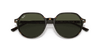 [Green Lenses, Polished Havana Frame]