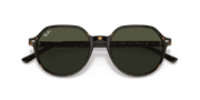 Green Lenses, Polished Havana Frame