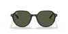 [Green Lenses, Polished Havana Frame]