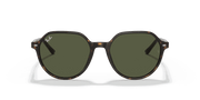 Green Lenses, Polished Havana Frame