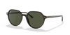 [Green Lenses, Polished Havana Frame]