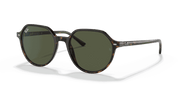 Green Lenses, Polished Havana Frame