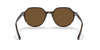 [B-15 Brown Lenses, Polished Havana Frame]