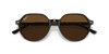 [B-15 Brown Lenses, Polished Havana Frame]