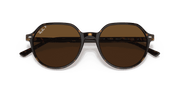 B-15 Brown Lenses, Polished Havana Frame