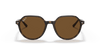 [B-15 Brown Lenses, Polished Havana Frame]