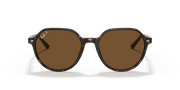 B-15 Brown Lenses, Polished Havana Frame