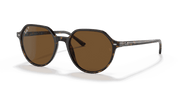 B-15 Brown Lenses, Polished Havana Frame