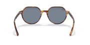 Blue Lenses, Polished Striped Havana Frame