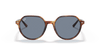 [Blue Lenses, Polished Striped Havana Frame]