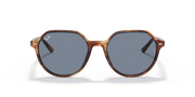 Blue Lenses, Polished Striped Havana Frame