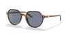 [Blue Lenses, Polished Striped Havana Frame]