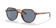 Blue Lenses, Polished Striped Havana Frame