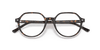 [Clear Lenses, Polished Havana Frame]