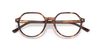 [Clear Lenses, Polished Striped Havana Frame]