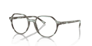 Clear Lenses, Polished Striped Green Frame