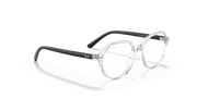 Clear Lenses, Polished Transparent Frame