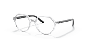 Clear Lenses, Polished Transparent Frame