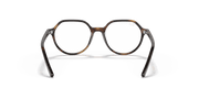 Clear Lenses, Polished Havana Frame