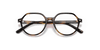 [Clear Lenses, Polished Havana Frame]